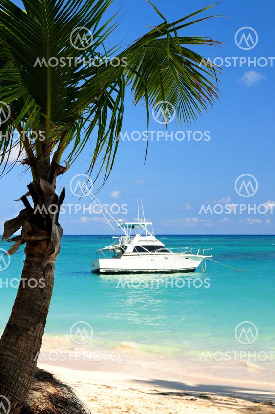 Tropical beach