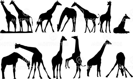 vector silhouettes of giraffe