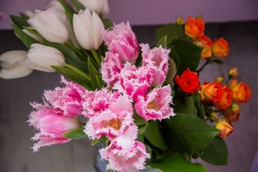 beautiful colourful blossoming flowers bouquet of fresh...