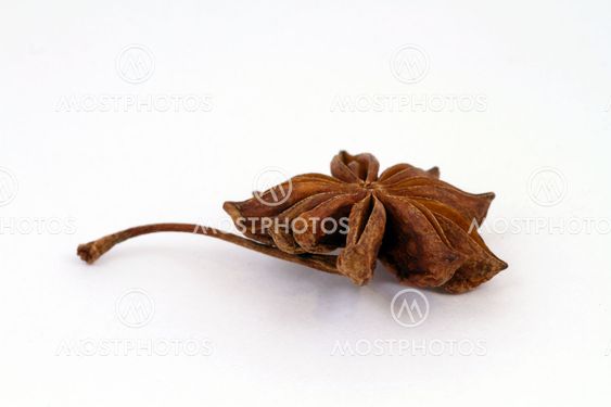 aromatic home accessories