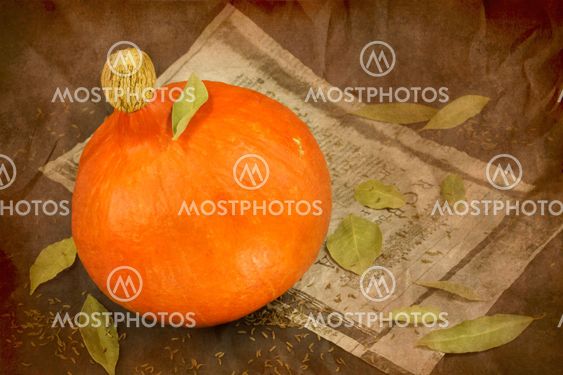Still life of pumpkin, old paper and bay leafs