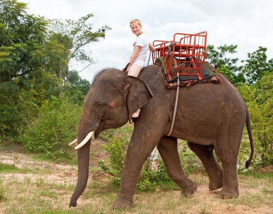 Child rides on elephant