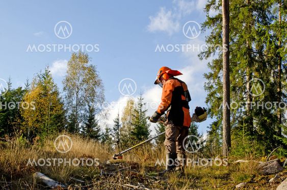 Arbetstagare med en röjsåg