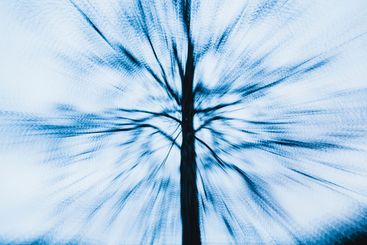 Abstract tree in moody forest