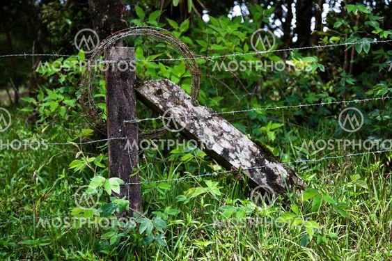 Rustic barbed wire fence in Costa Rica