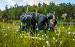 Man photographing flowers while hiking