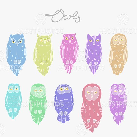 Set of vector owls