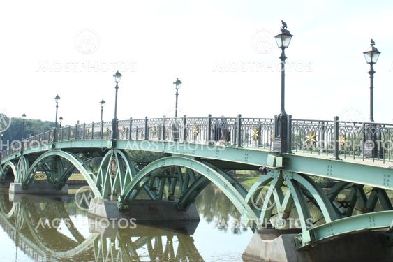 Bridge in park