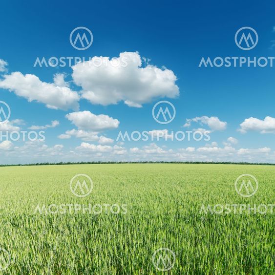 green field and clouds on blue sky