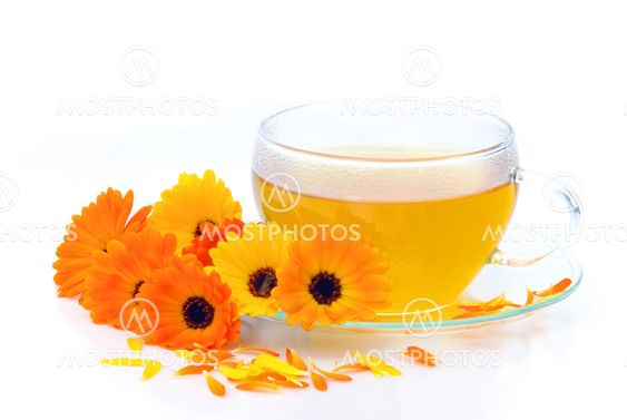 Tee Ringelblume - tea marigold 02