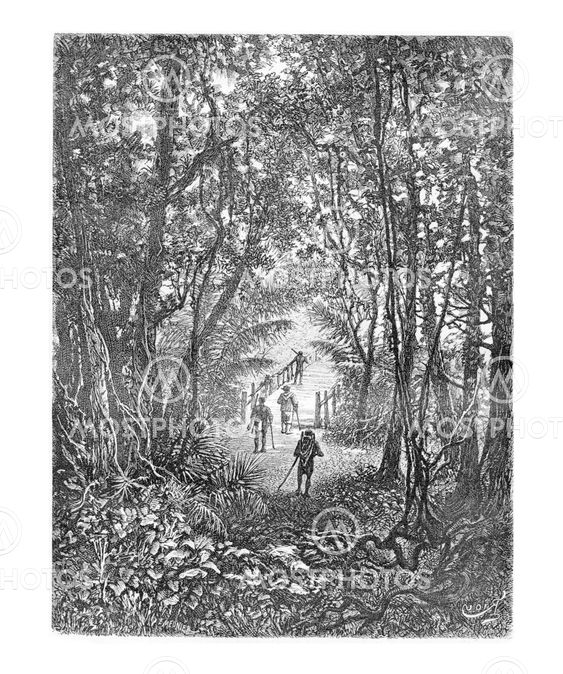 Crossing a Small Bridge in the Jungle in Oiapoque, Brazil, vintage engraving