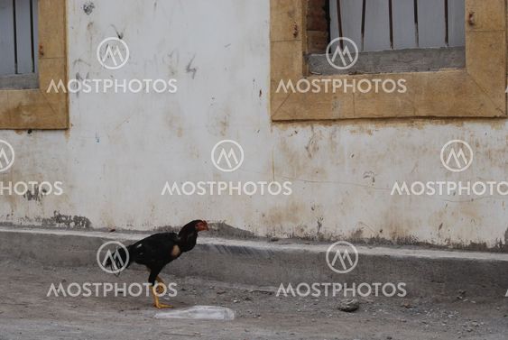 Cyprus