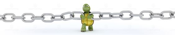 tortoise with a chain