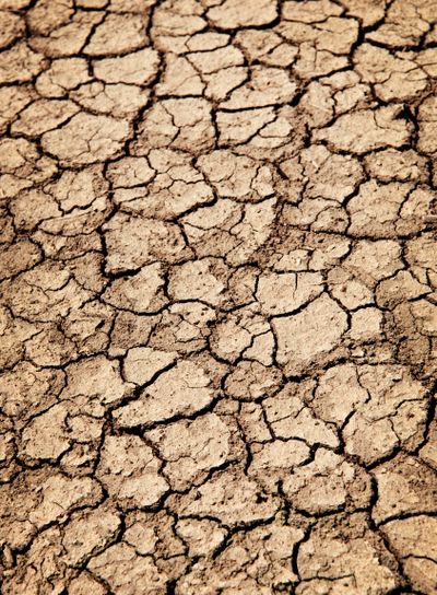 Dry cracked ground during drought
