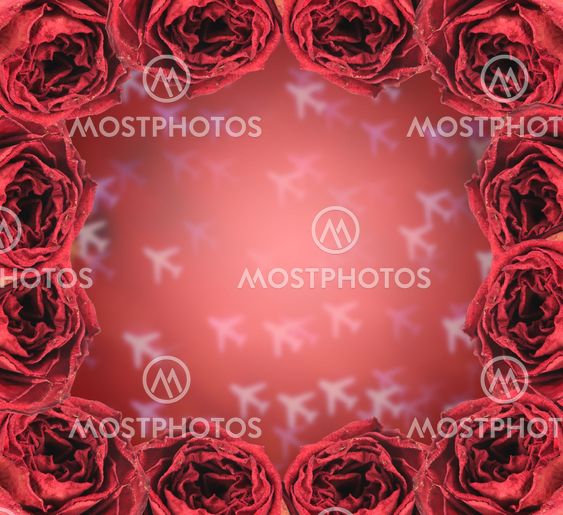 dry red rose frame on blur airplane bokeh