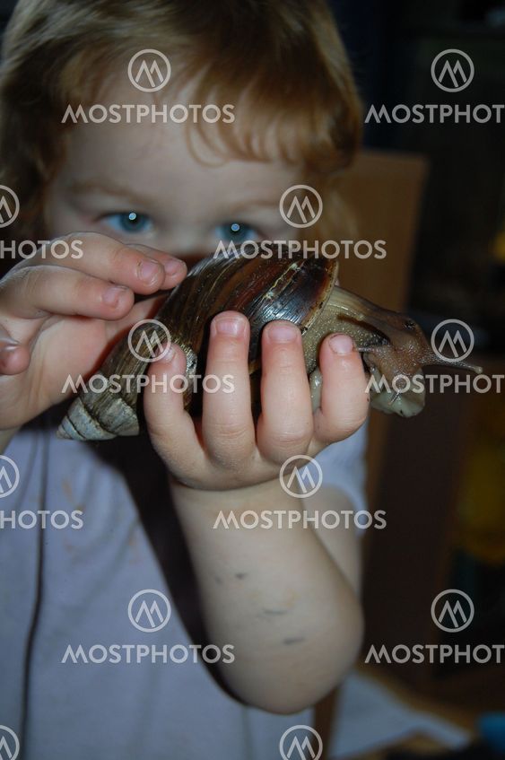 A snail in my hand