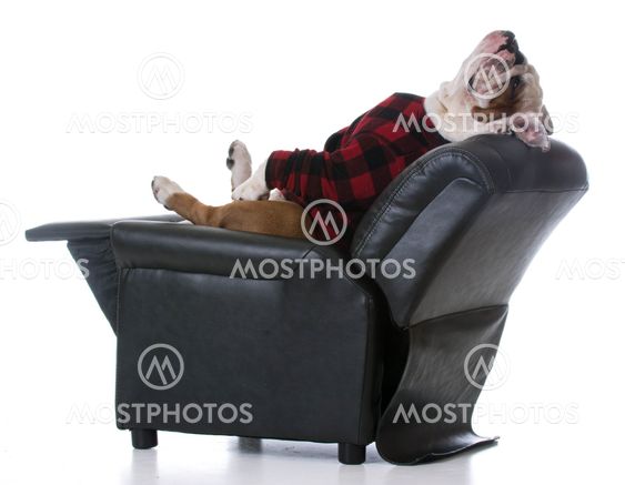 dog tired