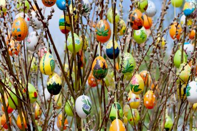 Easter egg with willow catkins