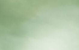 blurred backgrounds green tones