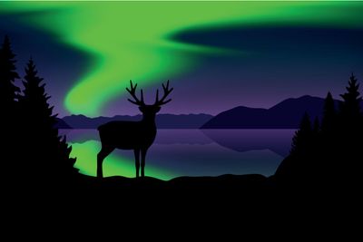 reindeer by the lake with beautiful green polar lights...
