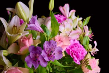 Bouquet, plants and closeup with flowers in studio for...