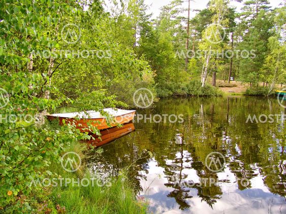 Deer Lake