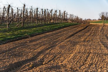 An empty field just before sunset on a sunny early...