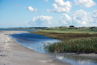 Coastline landscape Laesoe