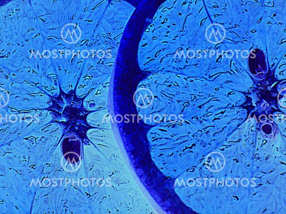 Grapefruit in blue