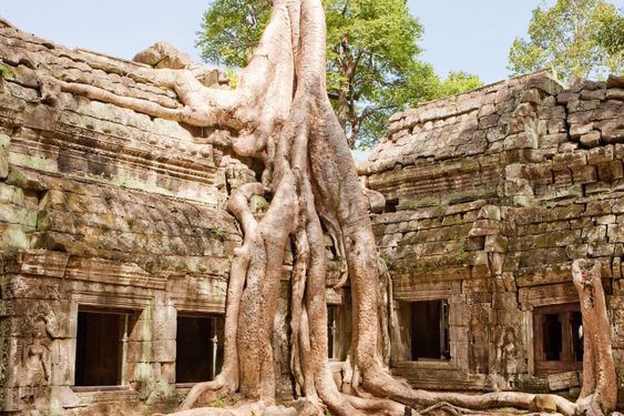 Ta Prohm in Angkor