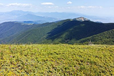 Summer landscape of Belasitsa Mountain, Bulgaria