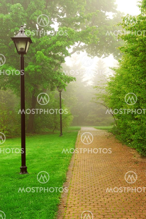 Foggy park