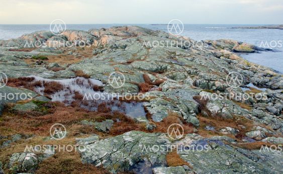 Kustlandskap 3