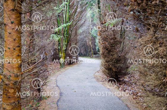 path