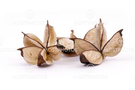 aromatic home accessories