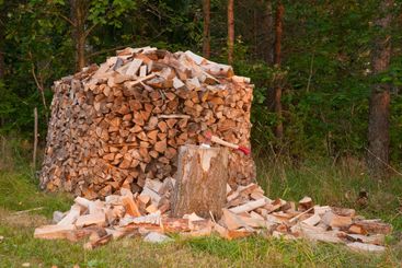 Woodpile