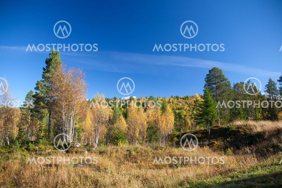 Norway Nature Scandinavian North Travel Landscapes