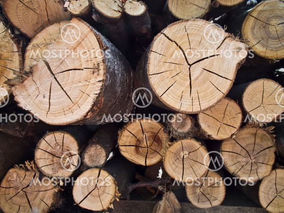 Log