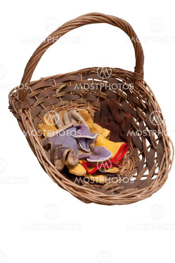 Gardening gloves and basket