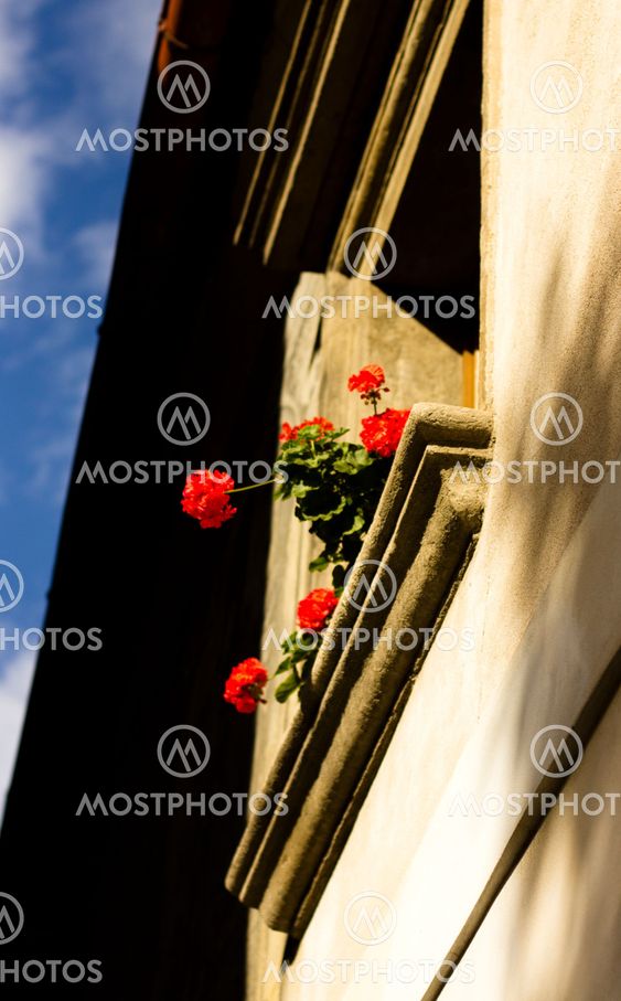 View of an old european window
