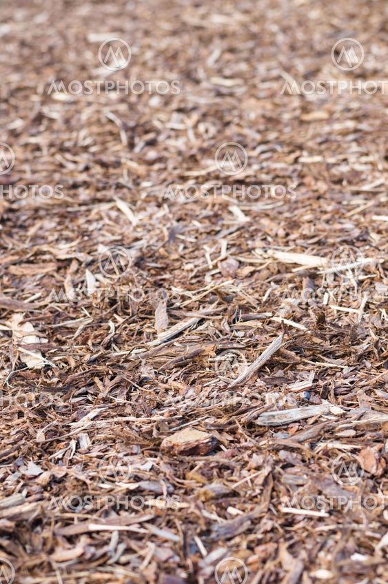 Natural pine tree bark used as a soil covering for mulch