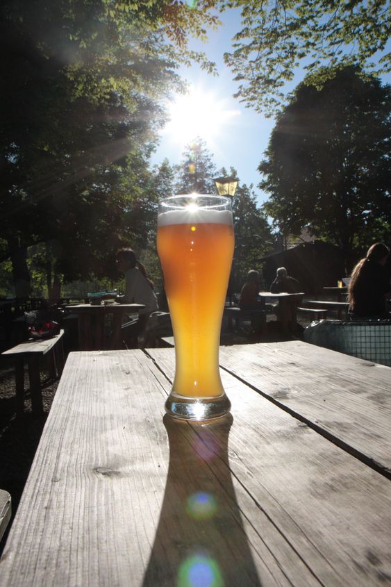 wheat beer