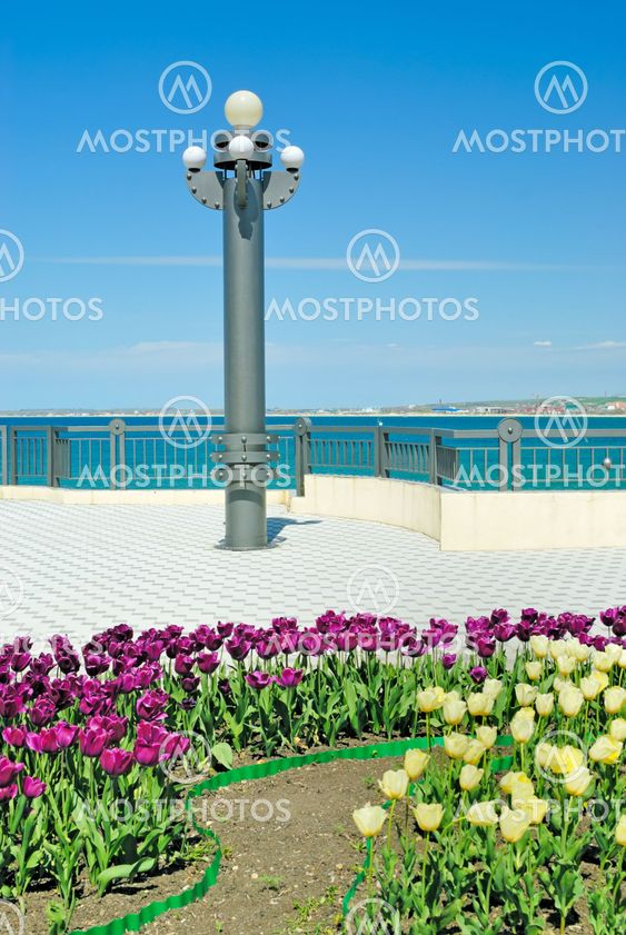 Lamp post and flower bed on quay