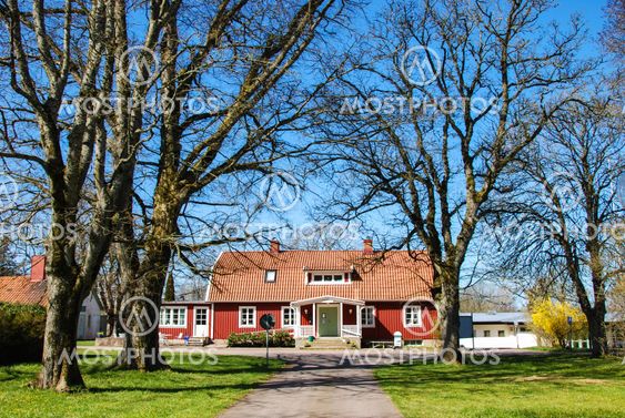 Vårgrönska vid Allégården i Kastlösa på Öland