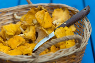 Chanterelles