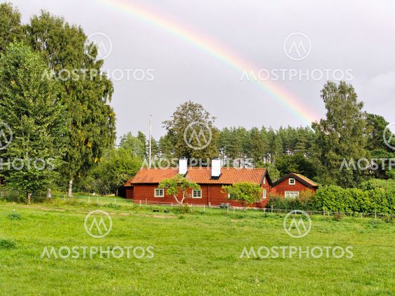 Rainbow