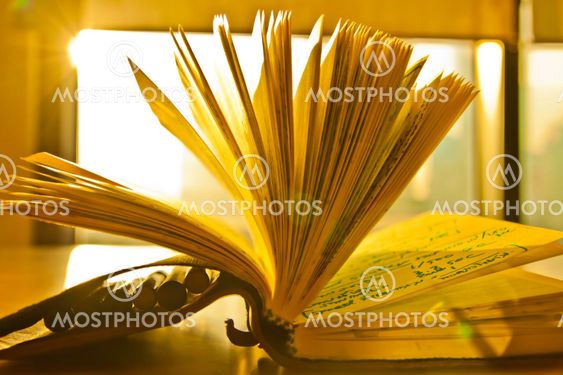 Notebook in the sunlight