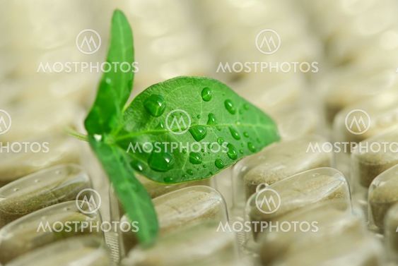 Herbal pills