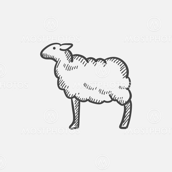 Sheep sketch icon.