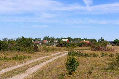 Dirt way in summer on the island of Öland